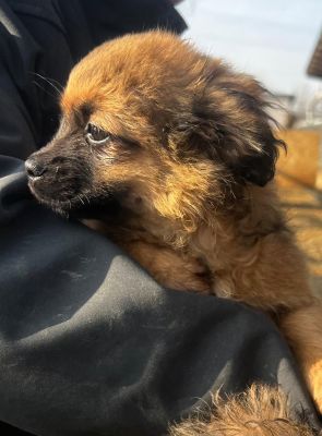 WhatsApp Image 2026 02 16 at 15.31.504