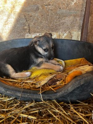 WhatsApp Image 2026 02 16 at 18.13.52