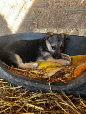 WhatsApp Image 2026 02 16 at 18.13.521