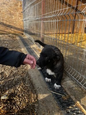 WhatsApp Image 2026 02 16 at 18.36.54