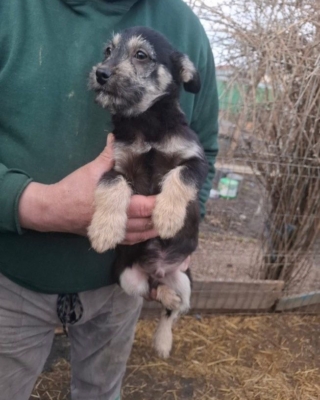 WhatsApp Image 2026 02 16 at 19.40.39 (1)