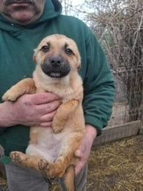 WhatsApp Image 2026 02 16 at 19.40.39 (1)