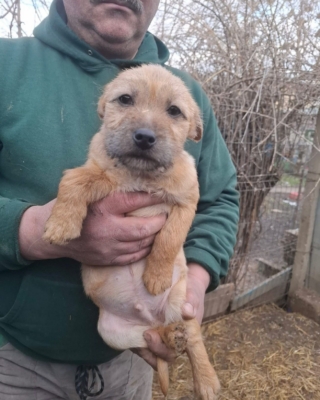 WhatsApp Image 2026 02 16 at 19.40.39 (2)