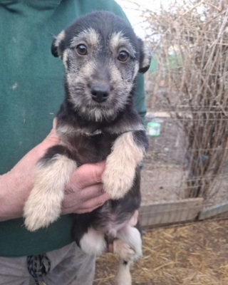 WhatsApp Image 2026 02 16 at 19.40.39