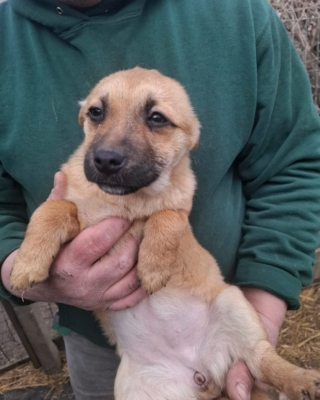 WhatsApp Image 2026 02 16 at 19.40.39