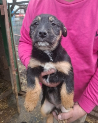 WhatsApp Image 2026 02 18 at 13.57.00