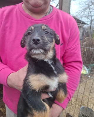 WhatsApp Image 2026 02 18 at 13.57.01 (1)