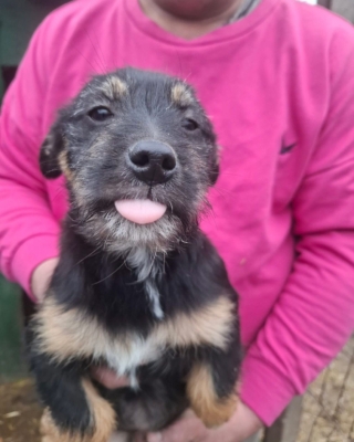 WhatsApp Image 2026 02 18 at 13.57.01 (2)