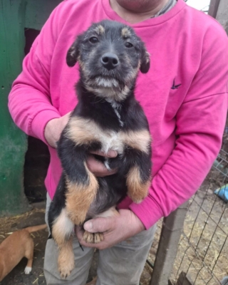 WhatsApp Image 2026 02 18 at 13.57.01