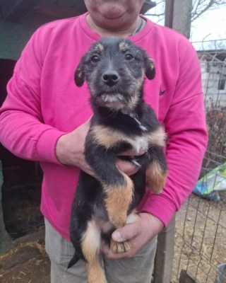 WhatsApp Image 2026 02 18 at 13.57.01 (4)