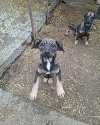 WhatsApp Image 2026 02 18 at 19.57.25 (1)