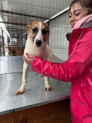 WhatsApp Image 2026 02 24 at 12.49.25