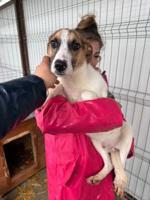 WhatsApp Image 2026 02 24 at 12.49.27 (1)