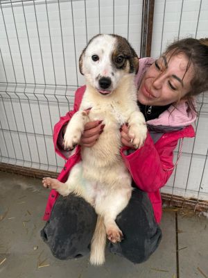 WhatsApp Image 2026 02 24 at 13.14.12