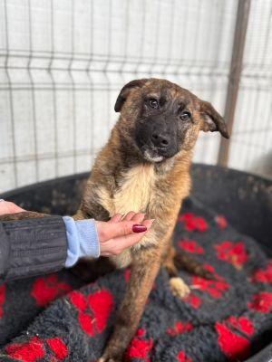 WhatsApp Image 2026 03 02 at 12.28.37