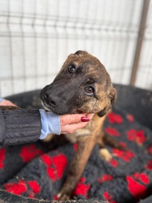 WhatsApp Image 2026 03 02 at 12.28.40 (1)