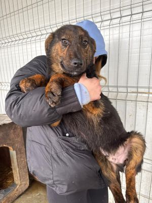 WhatsApp Image 2026 03 02 at 12.33.20