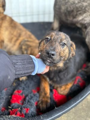 WhatsApp Image 2026 03 02 at 12.33.21 (3)