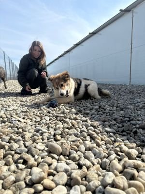 WhatsApp Image 2026 03 12 at 12.34.00