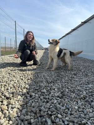 WhatsApp Image 2026 03 12 at 12.34.06