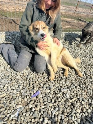 WhatsApp Image 2026 03 12 at 12.36.05