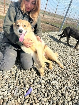 WhatsApp Image 2026 03 12 at 12.36.061