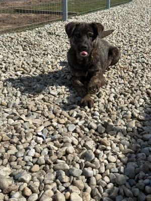 WhatsApp Image 2026 03 12 at 12.37.17