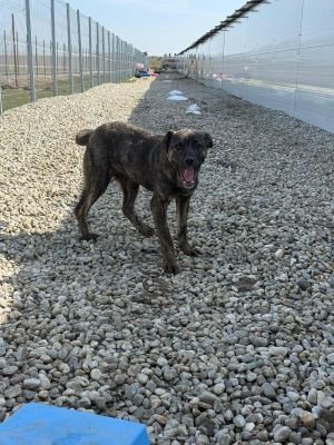 WhatsApp Image 2026 03 12 at 12.37.18