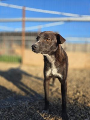 WhatsApp Image 2026 04 06 at 07.37.40 (1)