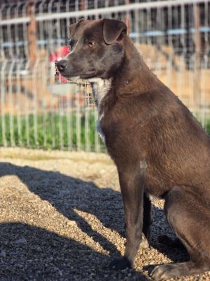 WhatsApp Image 2026 04 06 at 07.37.40 (2)