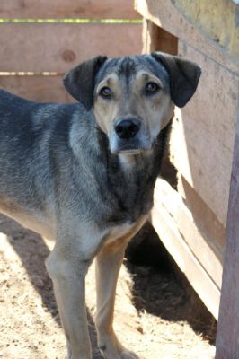 Zeus Mai4 682x1024 (1)