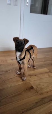 Ef18e90b dffc 4a9b b450 96b18466b626 473x1024