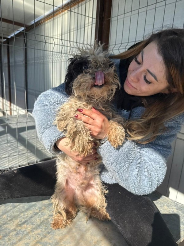 02c90a5f ff17 4ae0 94e3 25a8a38ac87a