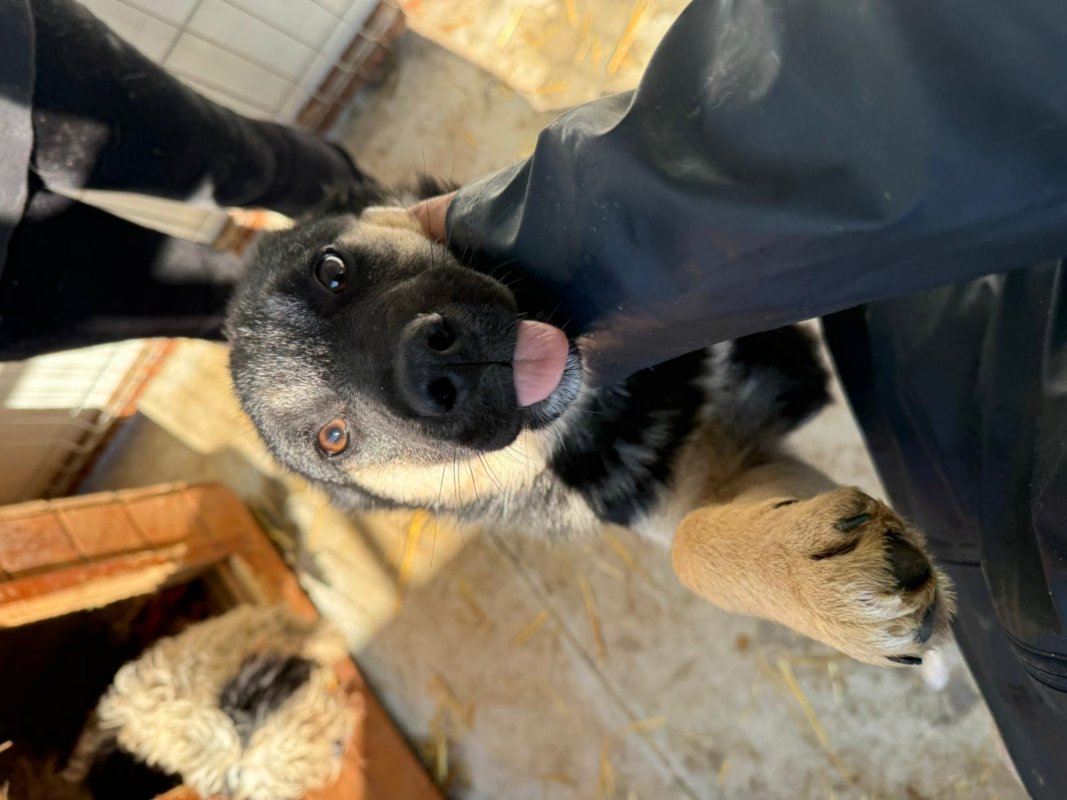 04990c29 b81e 477c a07c 26f1a4b222fb