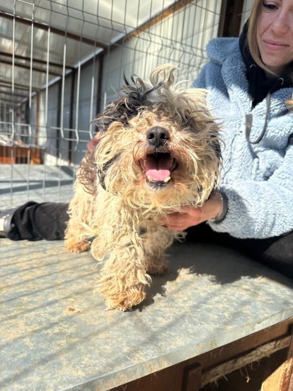 053b8a50 89e2 4506 be99 7e5cc0e2f6e9