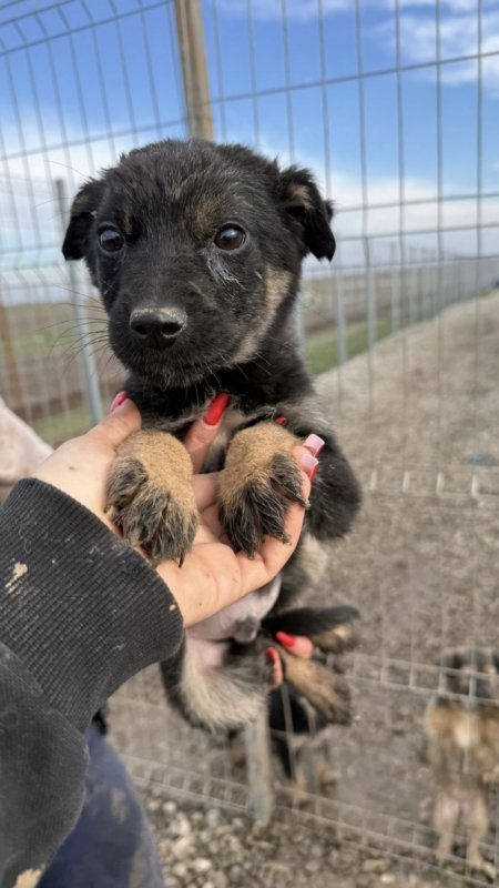 10a69d0a 1d51 4b5a a0d2 8a470dc325a3