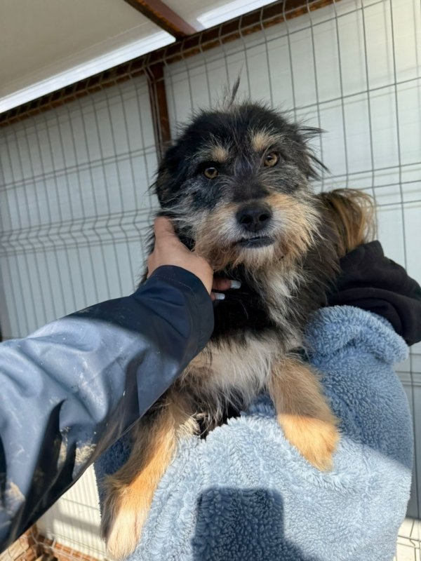 1896ea0d e884 4f40 9fd4 fd356a765fd5