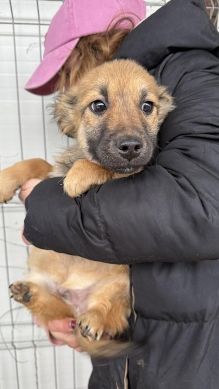 199f9380 0f1a 4cbc 9e2b 38a59de487ef