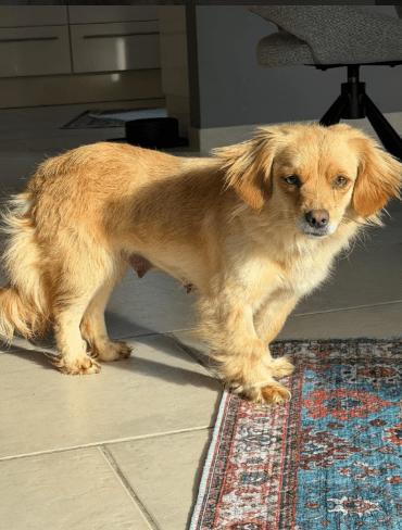 2026 02 09 08 51 30 Newsletter Subscription Nachricht (HTML) (Schreibgeschützt)