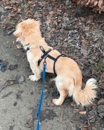 2026 02 09 08 51 39 Newsletter Subscription Nachricht (HTML) (Schreibgeschützt)