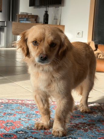 2026 02 09 08 51 43 Newsletter Subscription Nachricht (HTML) (Schreibgeschützt)