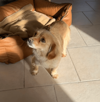 2026 02 09 08 51 49 Newsletter Subscription Nachricht (HTML) (Schreibgeschützt)