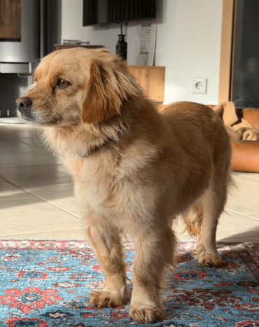 2026 02 09 08 51 53 Newsletter Subscription Nachricht (HTML) (Schreibgeschützt)