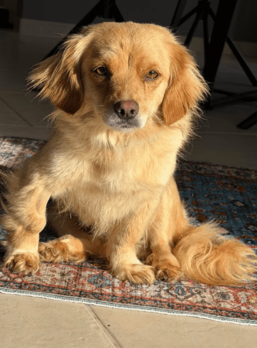 2026 02 09 08 52 03 Newsletter Subscription Nachricht (HTML) (Schreibgeschützt)