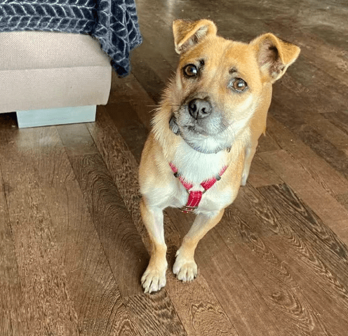 2026 02 13 11 13 57 SMC2SAPEmarsys Process Description.pptx PowerPoint