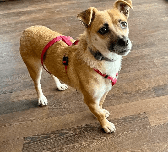 2026 02 13 11 14 02 SMC2SAPEmarsys Process Description.pptx PowerPoint