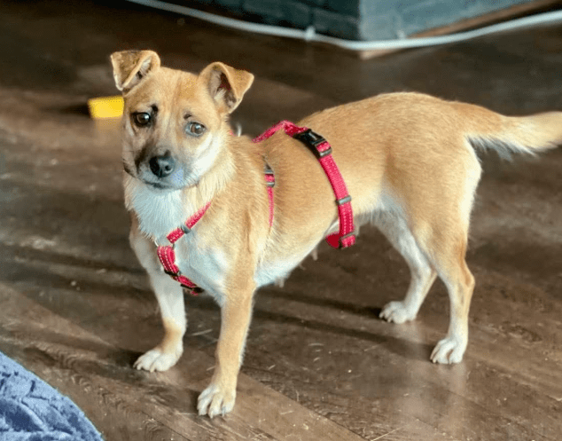 2026 02 13 11 14 09 SMC2SAPEmarsys Process Description.pptx PowerPoint