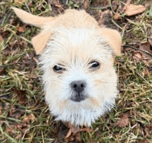 2026 02 25 12 39 43 Implementation Partner Search – Datei Explorer