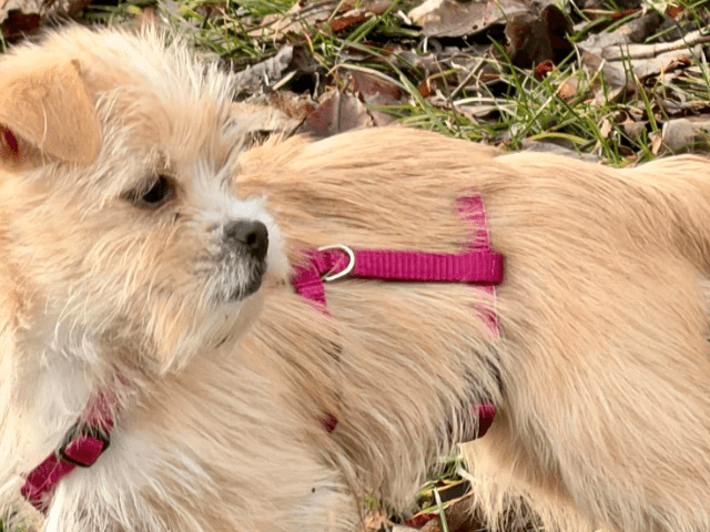 2026 02 25 12 39 51 Implementation Partner Search – Datei Explorer