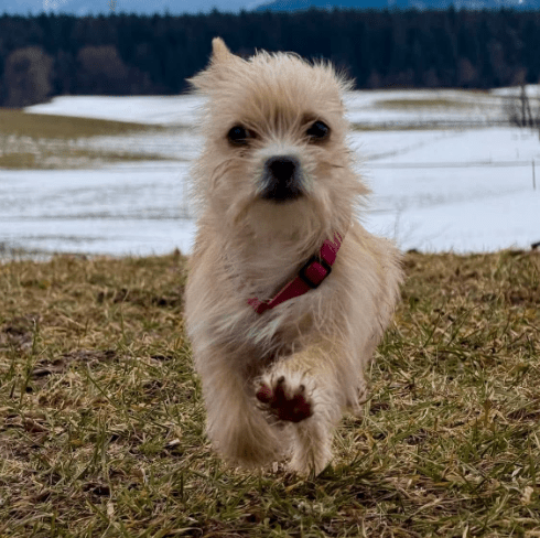 2026 02 25 12 39 54 Implementation Partner Search – Datei Explorer